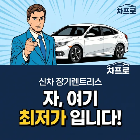 상하 반반