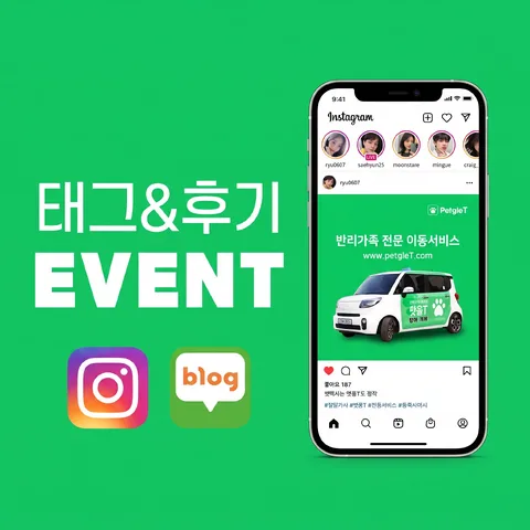 숫자 강조