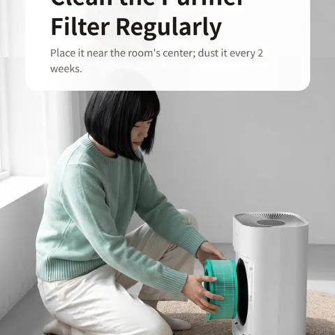 Clean the Purifier Filter Regularly
