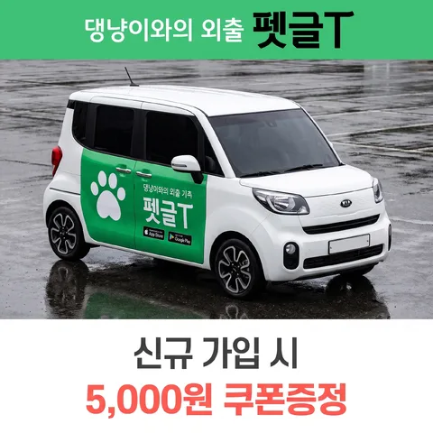 삼단 분할