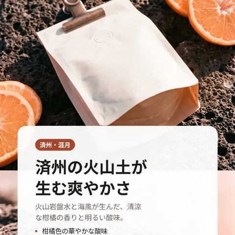 済州の火山土が生む爽やかさ