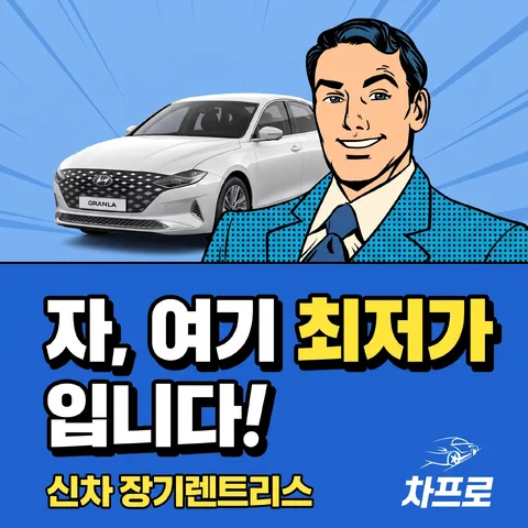 상하 반반