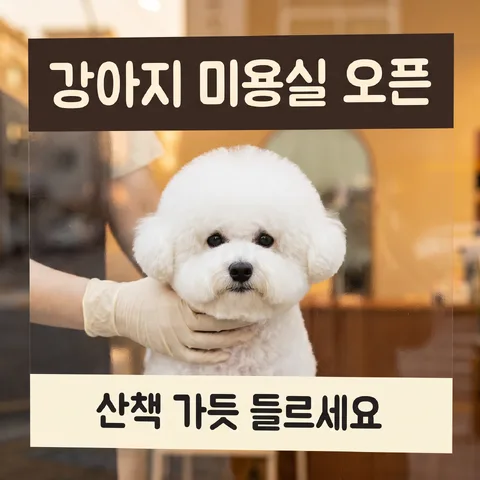 유리창에 붙인 전단 · 전단 따뜻한 빛 · 전단 시네마틱