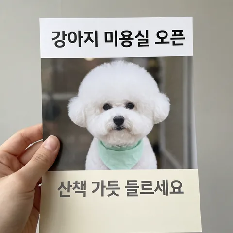 손에 든 전단 한 장 · 전단 화이트 · 전단 거리 스냅