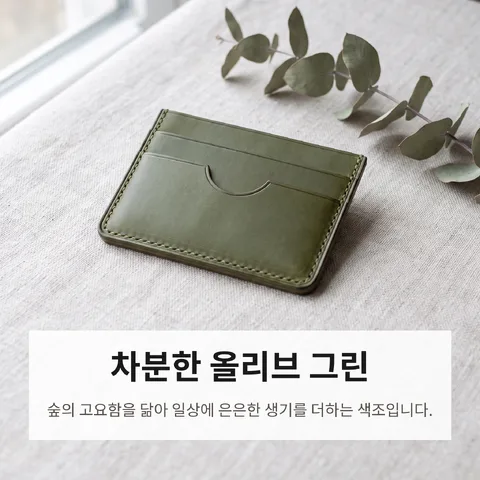 차분한 올리브 그린