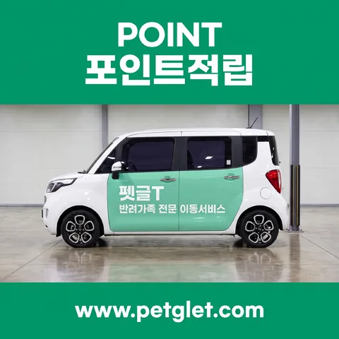 레터박스