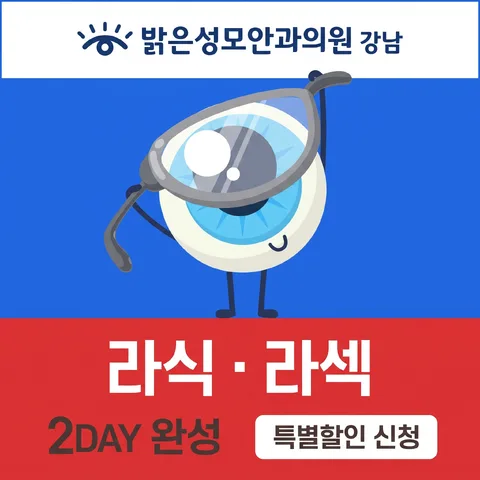 삼단 분할