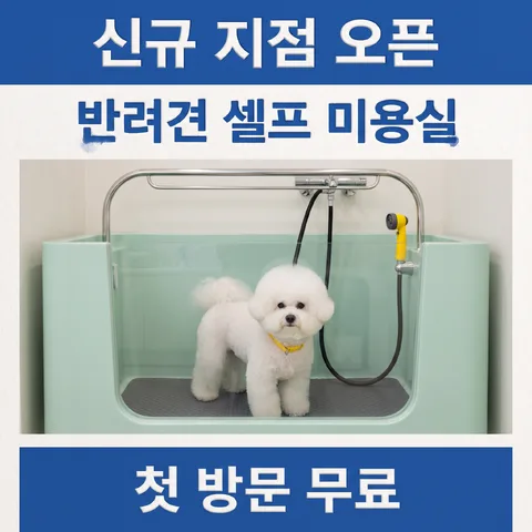 레터박스 · 클린 화이트 · 종이 인쇄