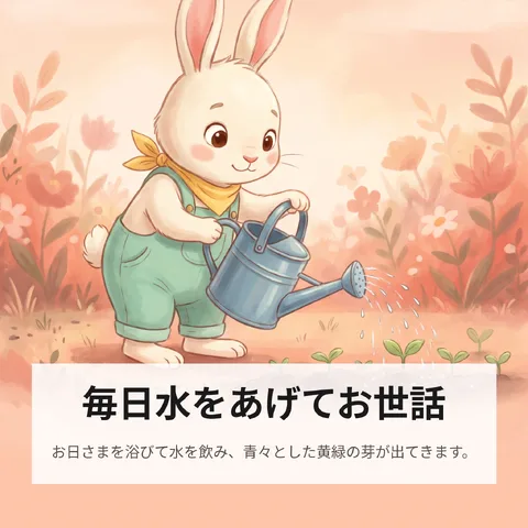 毎日水をあげてお世話