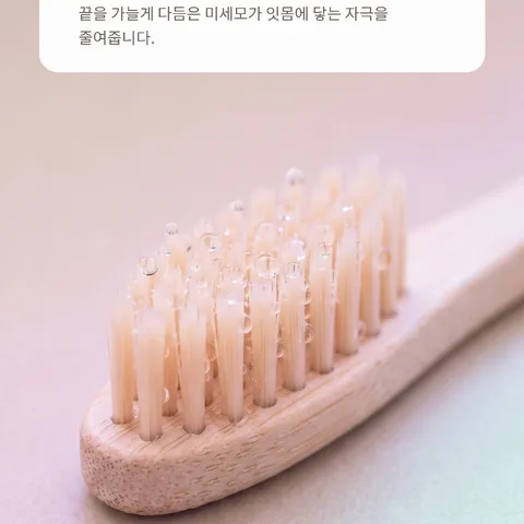 잇몸 틈새까지 부드럽게 닿는 미세모