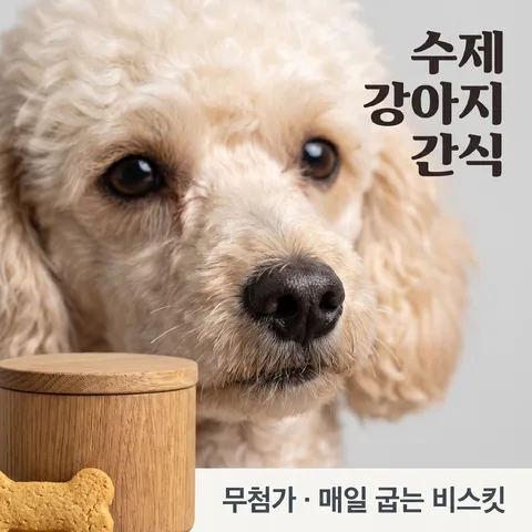 鼻尖特寫 · 寵物灰 · 寵物微距