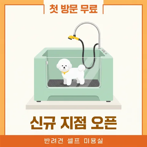 테두리 라벨 · 웜 세일 오렌지 · 플랫 그래픽