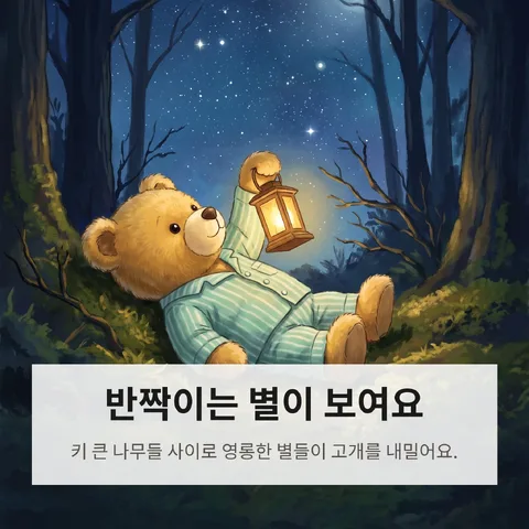 반짝이는 별이 보여요