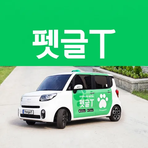 顶部色带标题