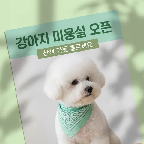 창가 그림자 드리운 전단 · 전단 그린 · 전단 소프트 라이트