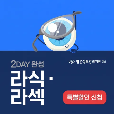 상하 반반