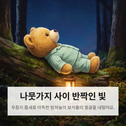 나뭇가지 사이 반짝인 빛