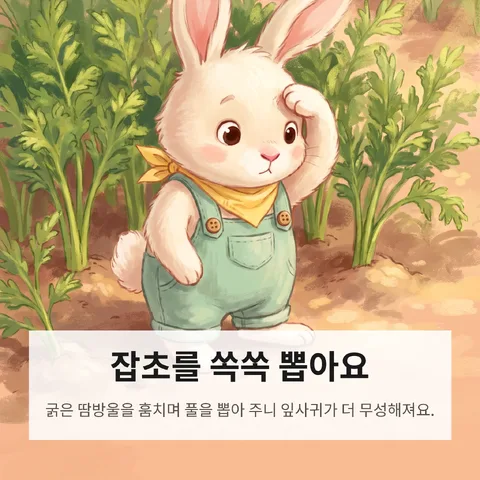 잡초를 쏙쏙 뽑아요