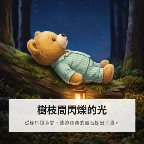 樹枝間閃爍的光