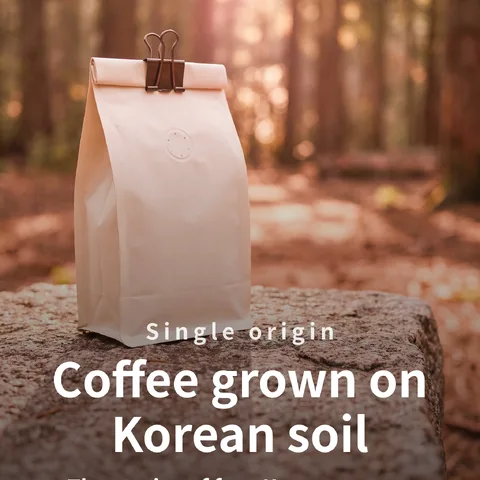 Coffee grown on Korean soil